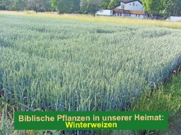 Bildergalerie - Vortrag Dr. Rainer Bausch 13.11.22